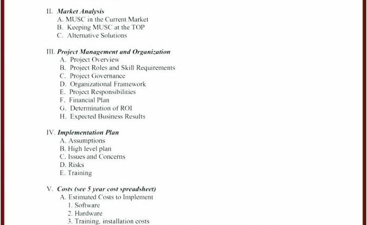 Project Rollout Schedule Template