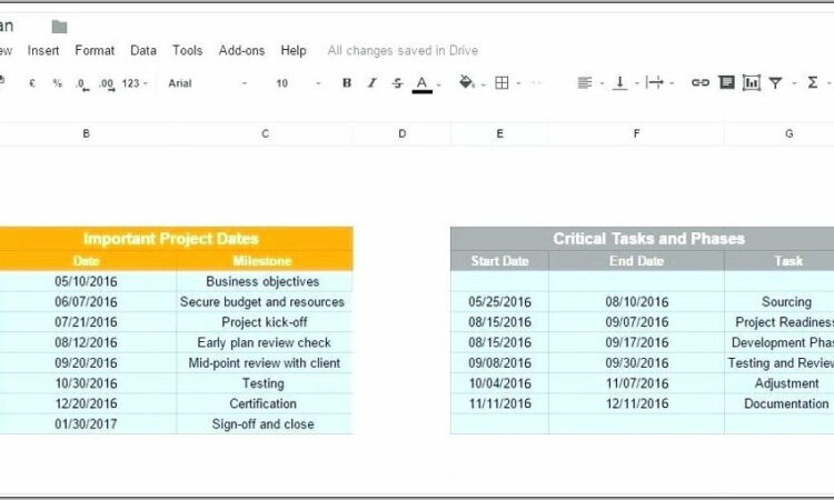 Project Transition Plan Template Free