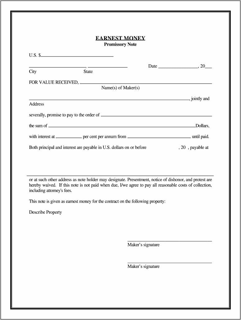 Promissory Note Format Pdf India
