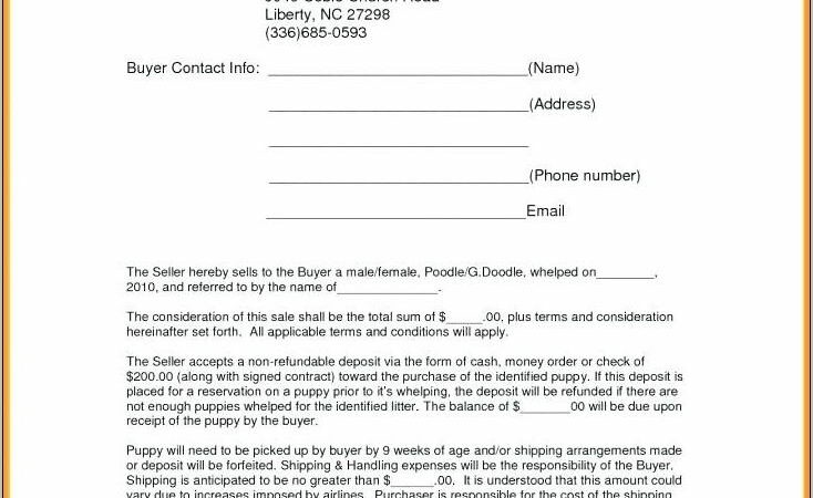 Property Purchase Agreement Template Free