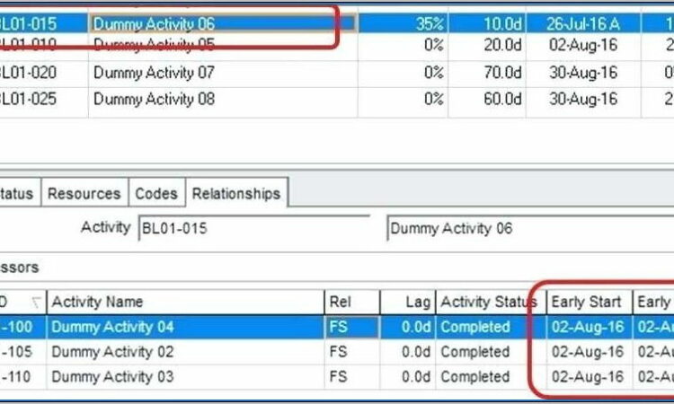 Psychiatric Risk Assessment Template