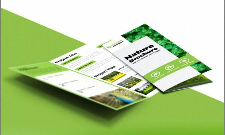 Publisher Brochure Template Free