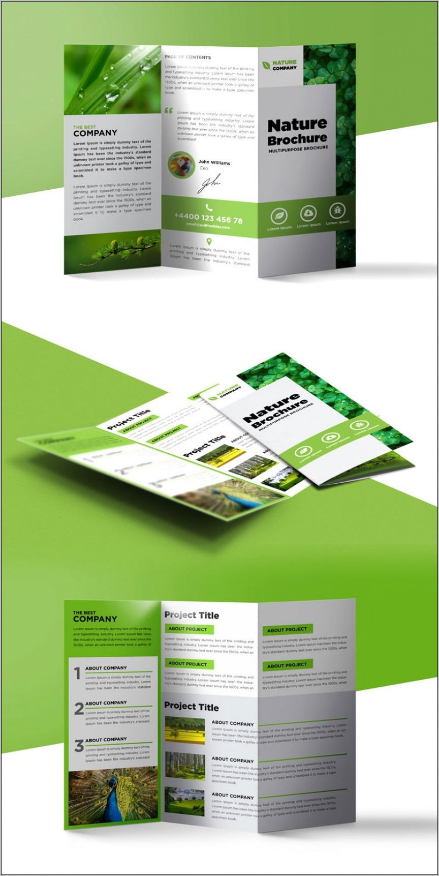 Publisher Brochure Template Free