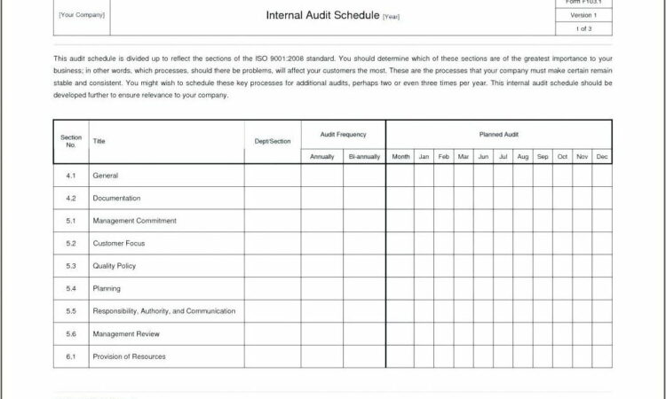 Qms Audit Report Format