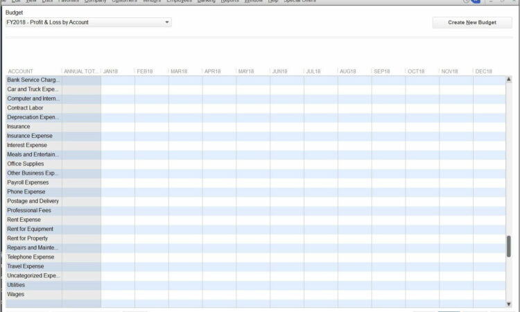 Quickbooks Budget Import Template