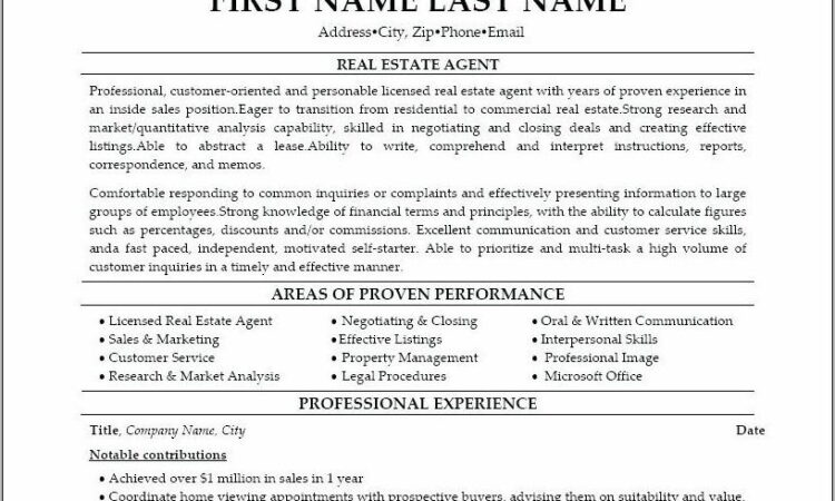 Real Estate Agent Resume Sample No Experience