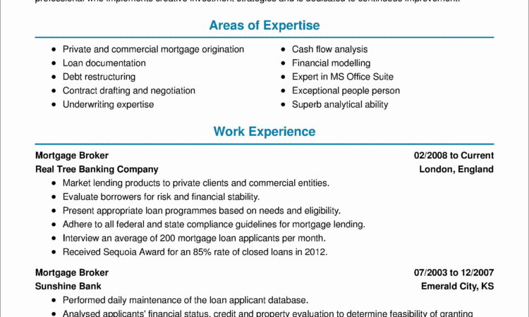 Real Estate Business Plan Template Investors