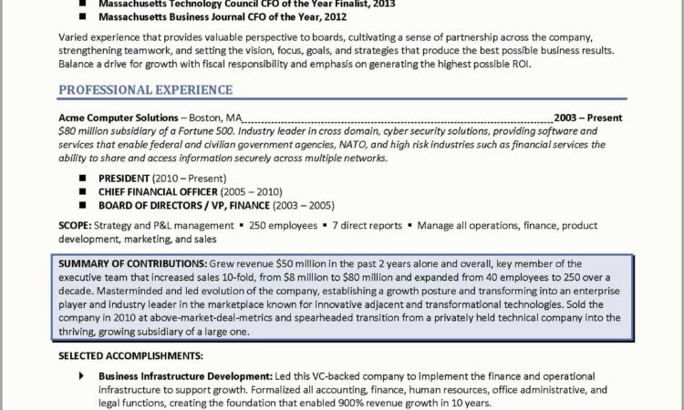 Real Estate Investor Resume Pdf