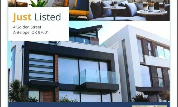 Real Estate Listing Flyer Templates Free