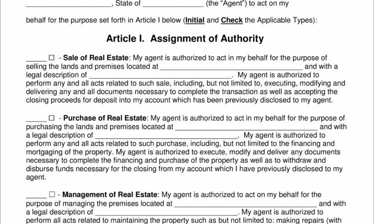 Real Estate Power Of Attorney Pdf