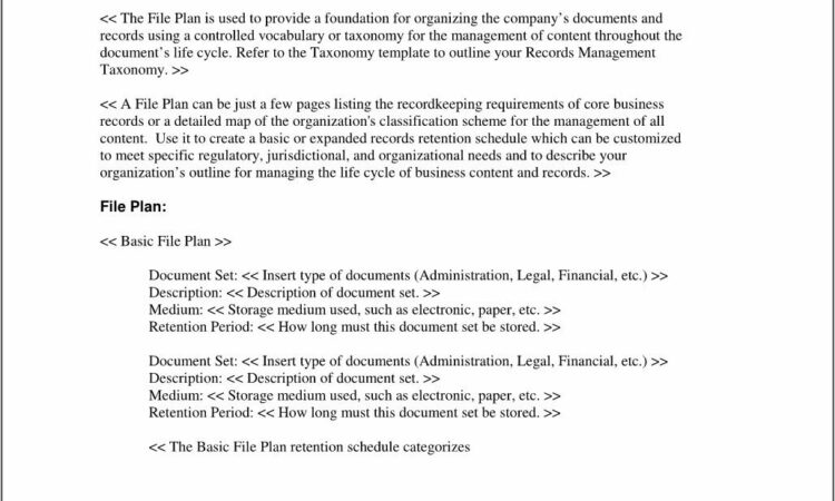 Records Management File Plan Example