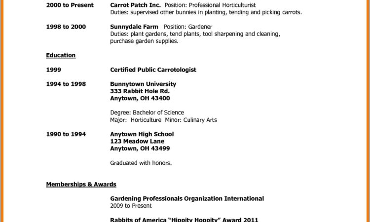 Resume Builder High School