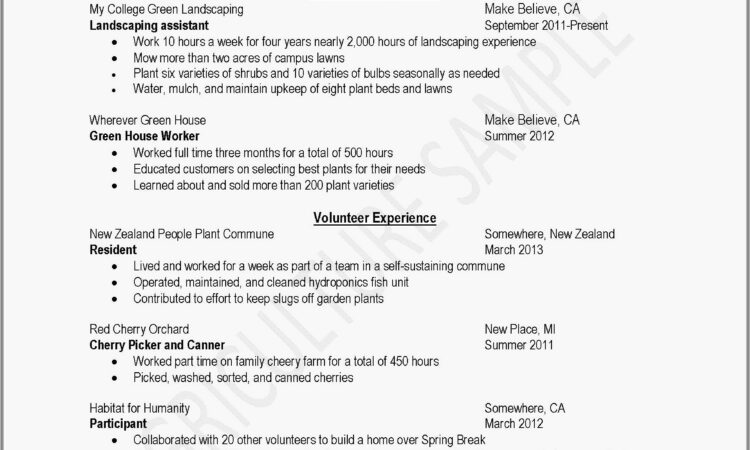 Resume Creator For High School Students