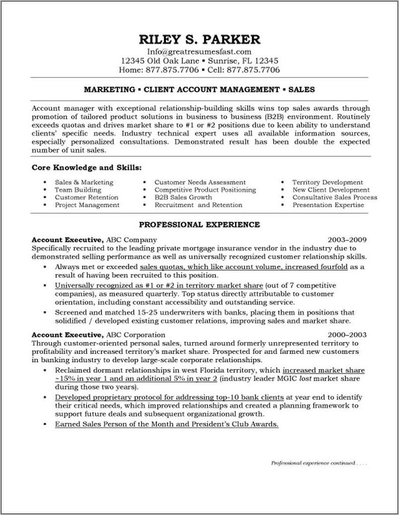 Resume Examples For Account Executives