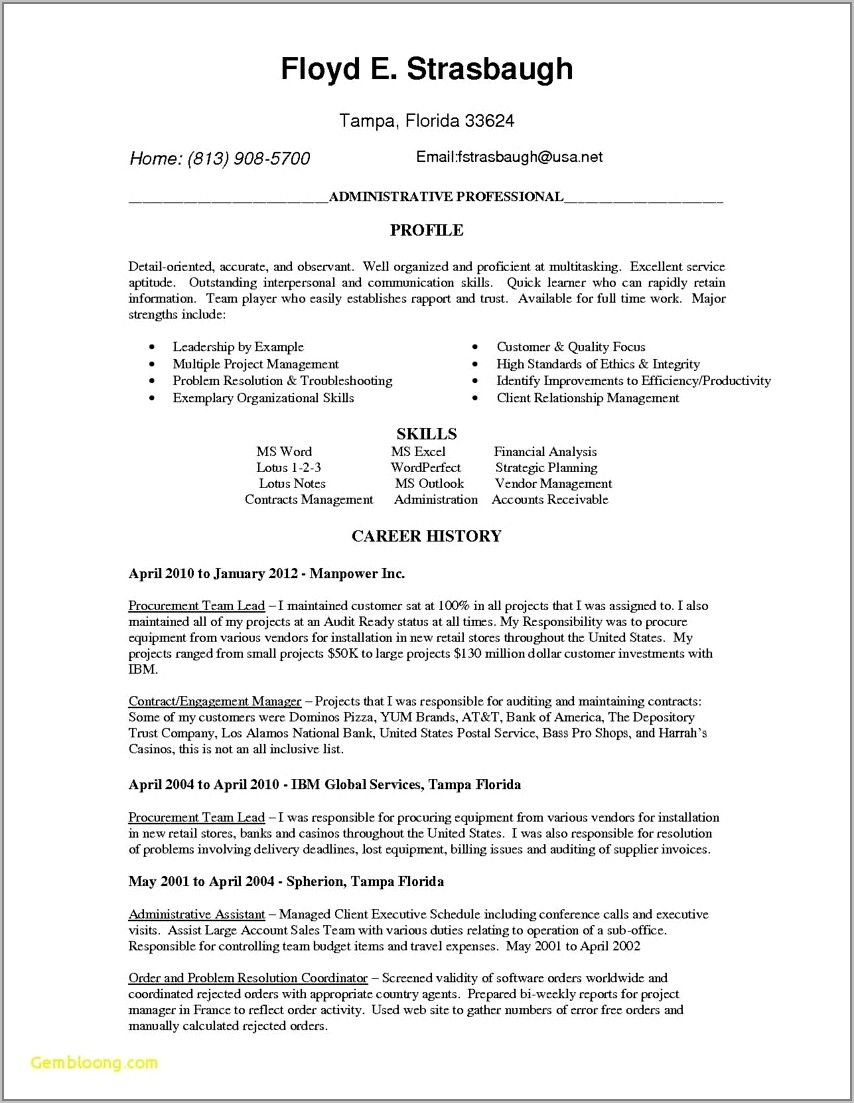 Resume Examples For Account Manager