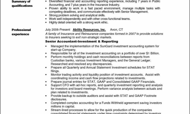 Resume Examples For Accountants With Objectives