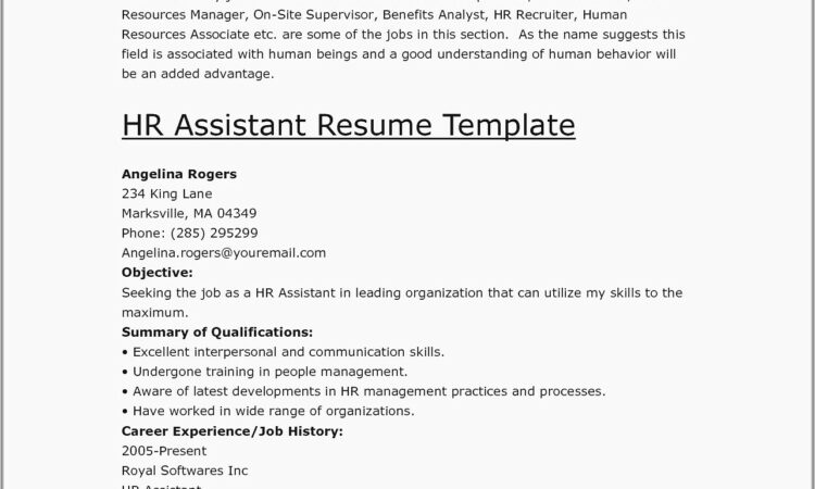 Resume Examples For Jobs Download