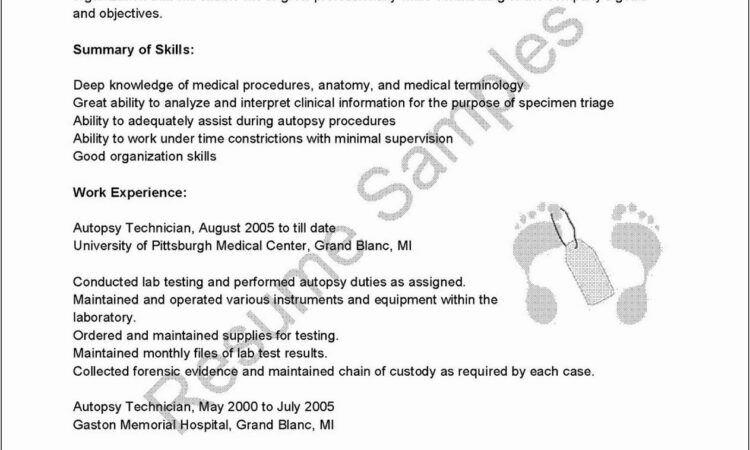 Resume Examples For Medical Assistant Jobs