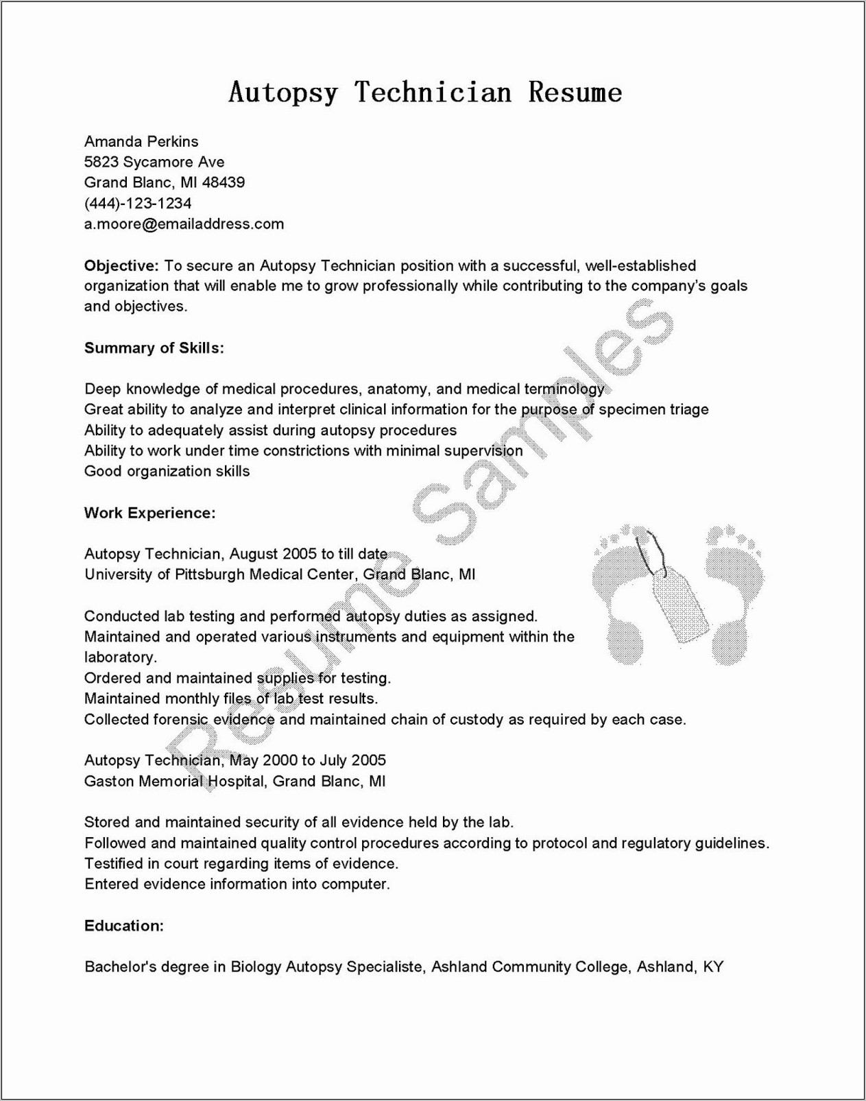 Resume Examples For Medical Assistant Jobs
