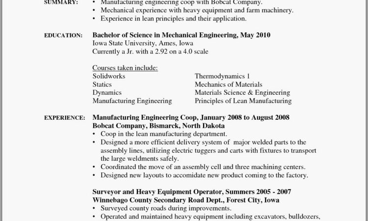 Resume Format Computer Technician