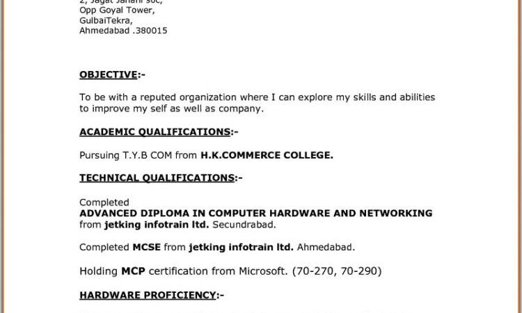 Resume Format Download In Ms Word 2003