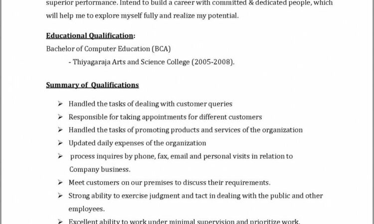 Resume Format For Sales Executive Free Download