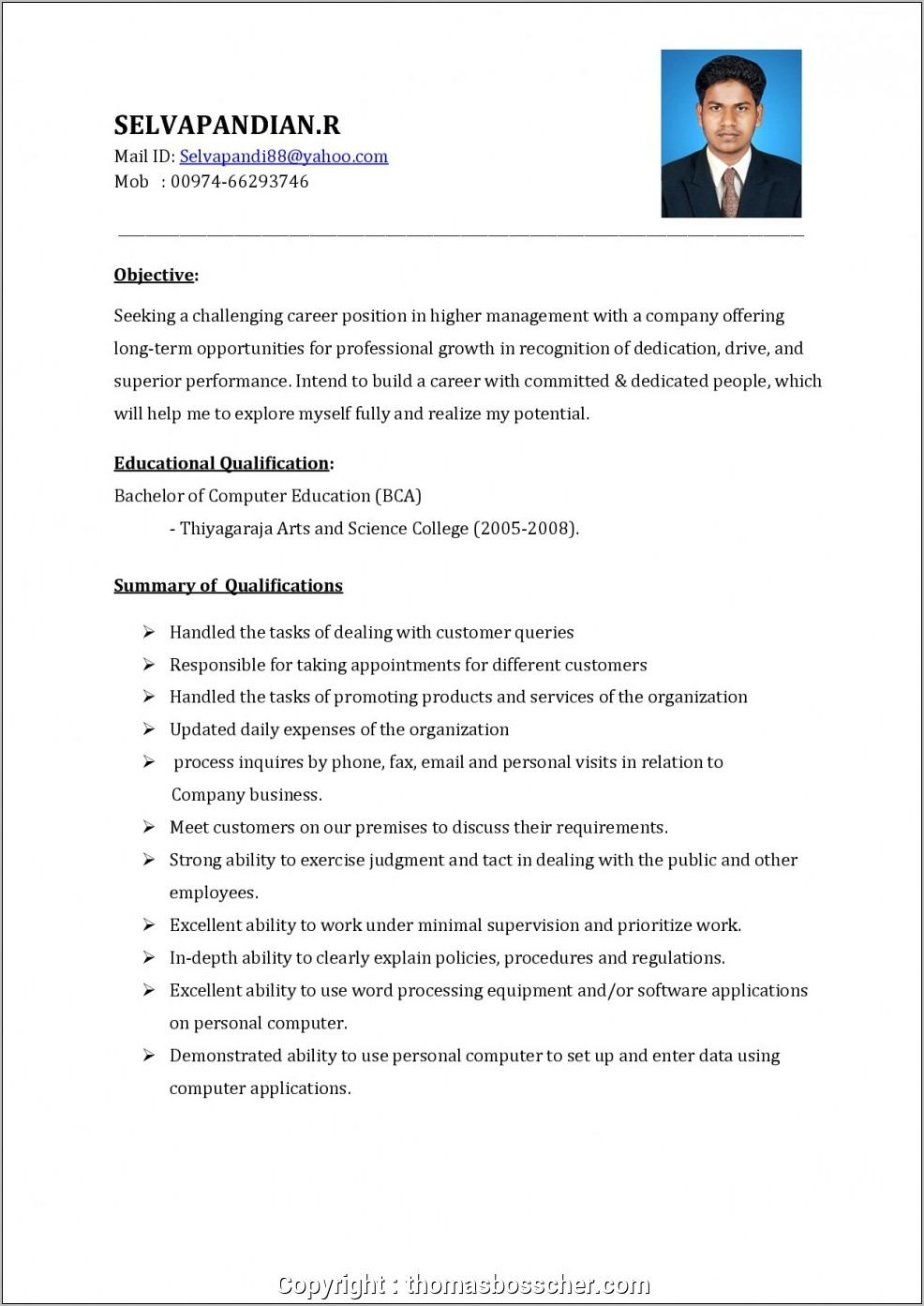 Resume Format For Sales Executive Free Download