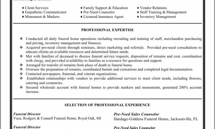 Resume Format For Sales Executive Job