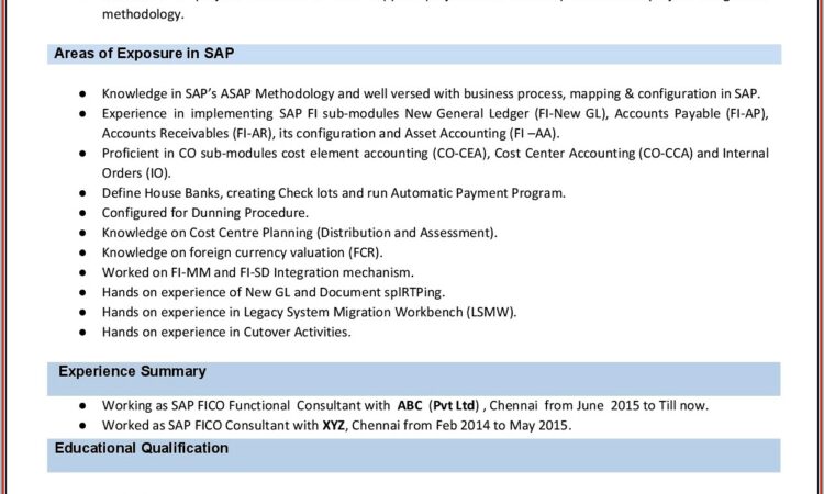 Resume Format For Sap Fico Freshers