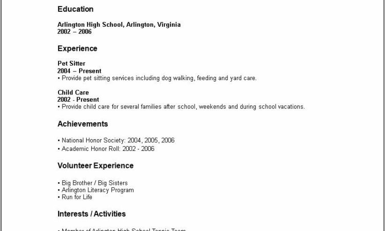 Resume Format With No Work Experience