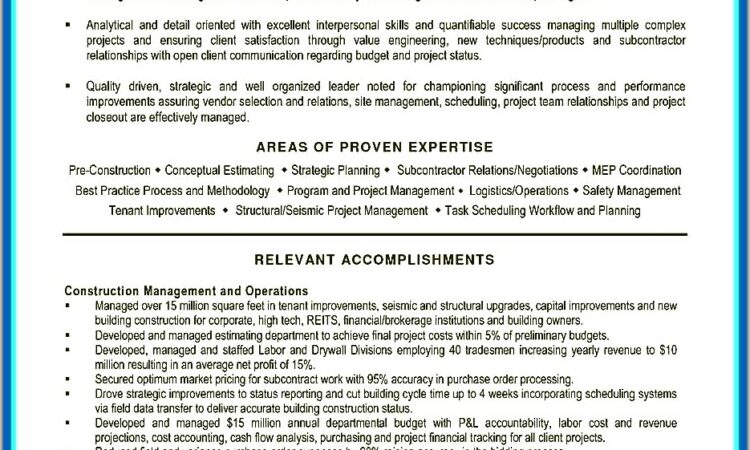 Resume Objective Examples For Project Manager