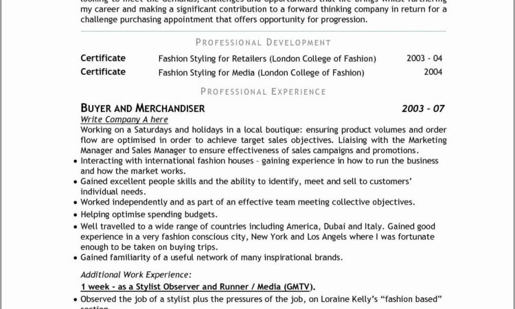 Resume Objective Examples For Sales Positions