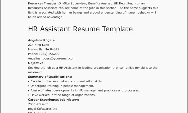 Resume Objective For Assistant Property Manager