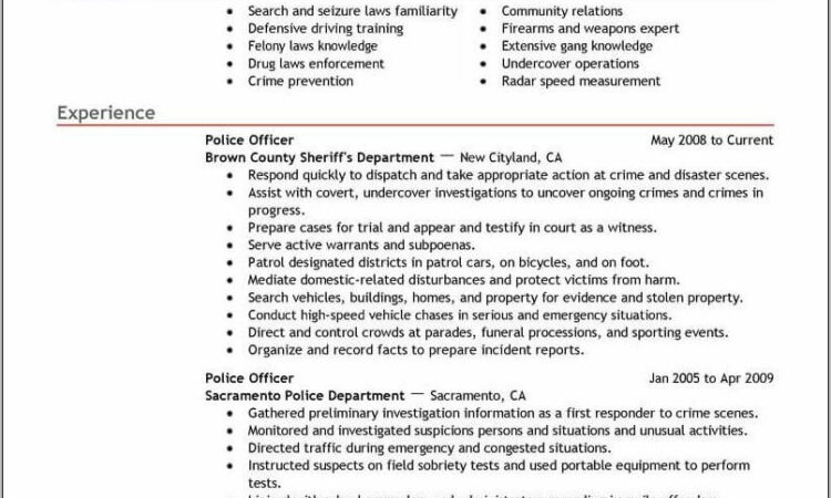 Resume Profile Examples For Law Enforcement