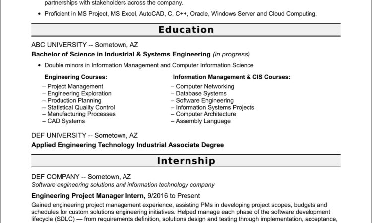 Resume Profile Examples For Project Management