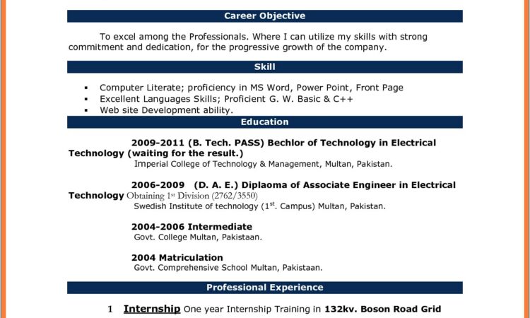 Resume Sample Word Format Free Download