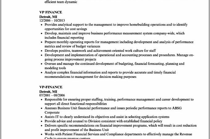 Resume Samples For Finance Executives