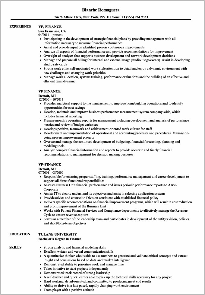 Resume Samples For Finance Executives