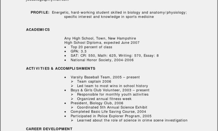 Resume Summary Examples For Highschool Students