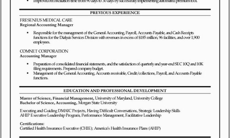 Resume Summary Examples For Leadership