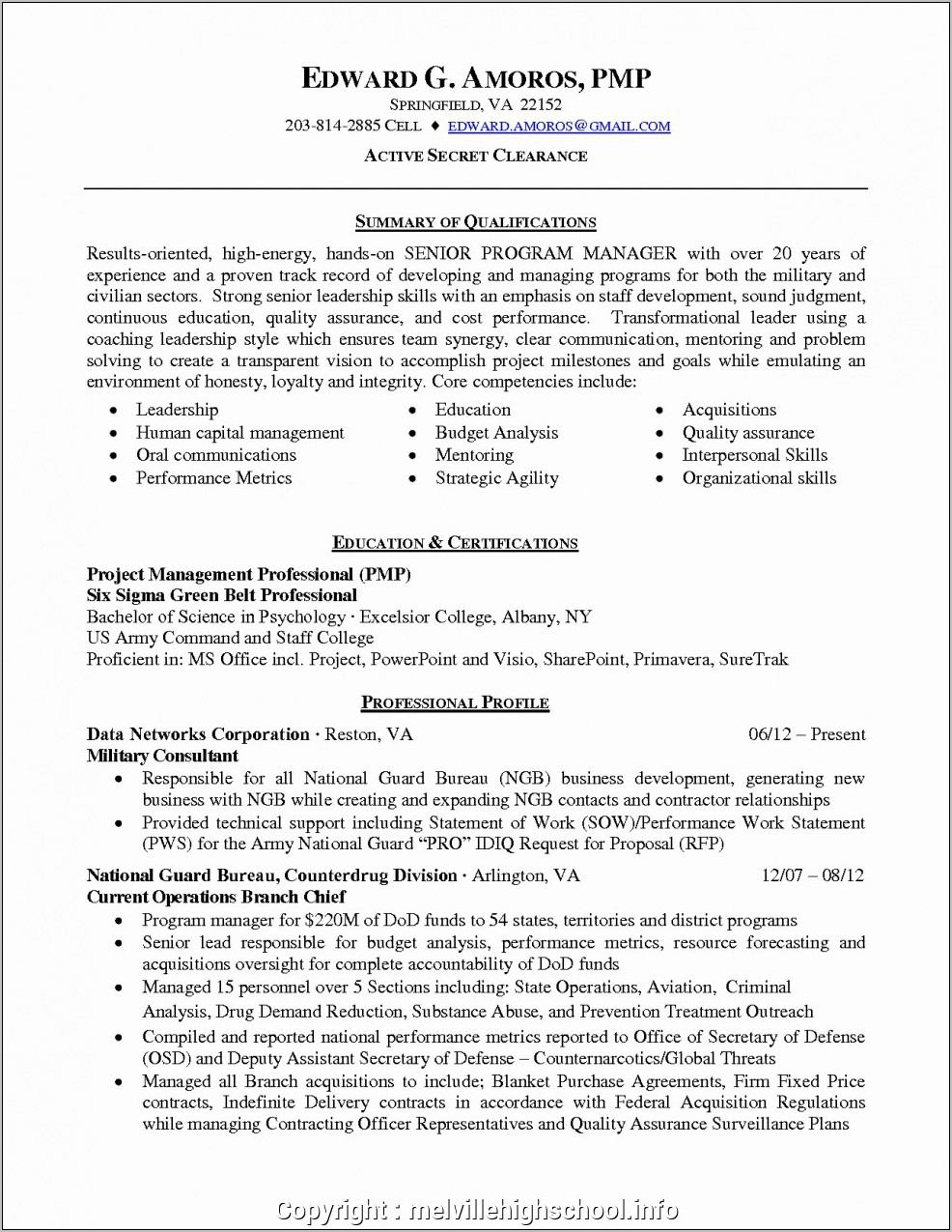 Resume Summary Statement Examples Project Manager