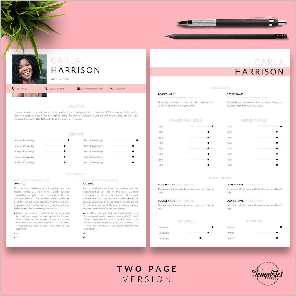 Resume Template For Accountant