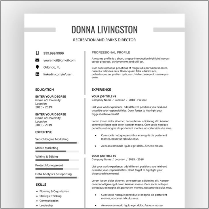 Resume Template For Free