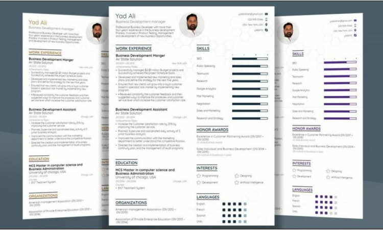 Resume Template For Freshers Free Download