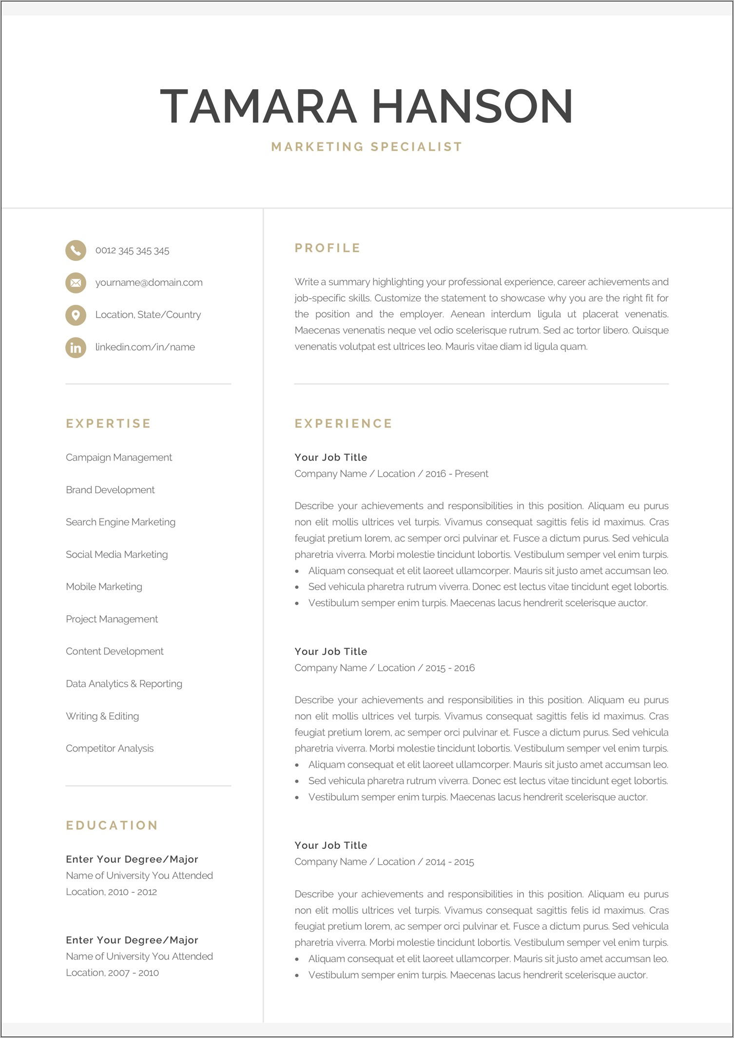 Resume Template For Pages Mac