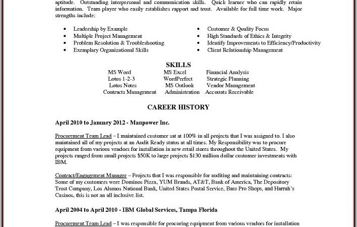 Resume Template For Sales Director