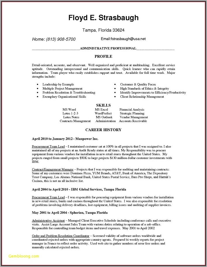 Resume Template For Sales Director