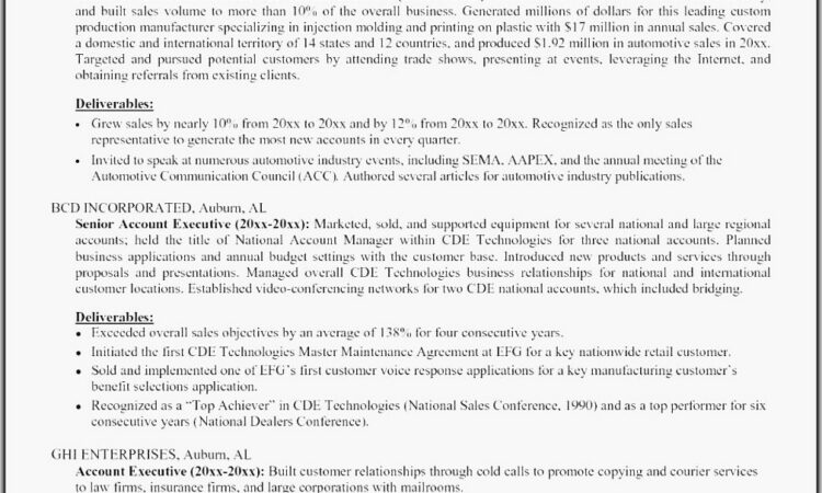 Resume Template For Sales Executive