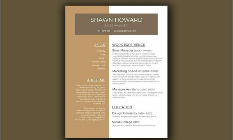 Resume Template For Sales Manager