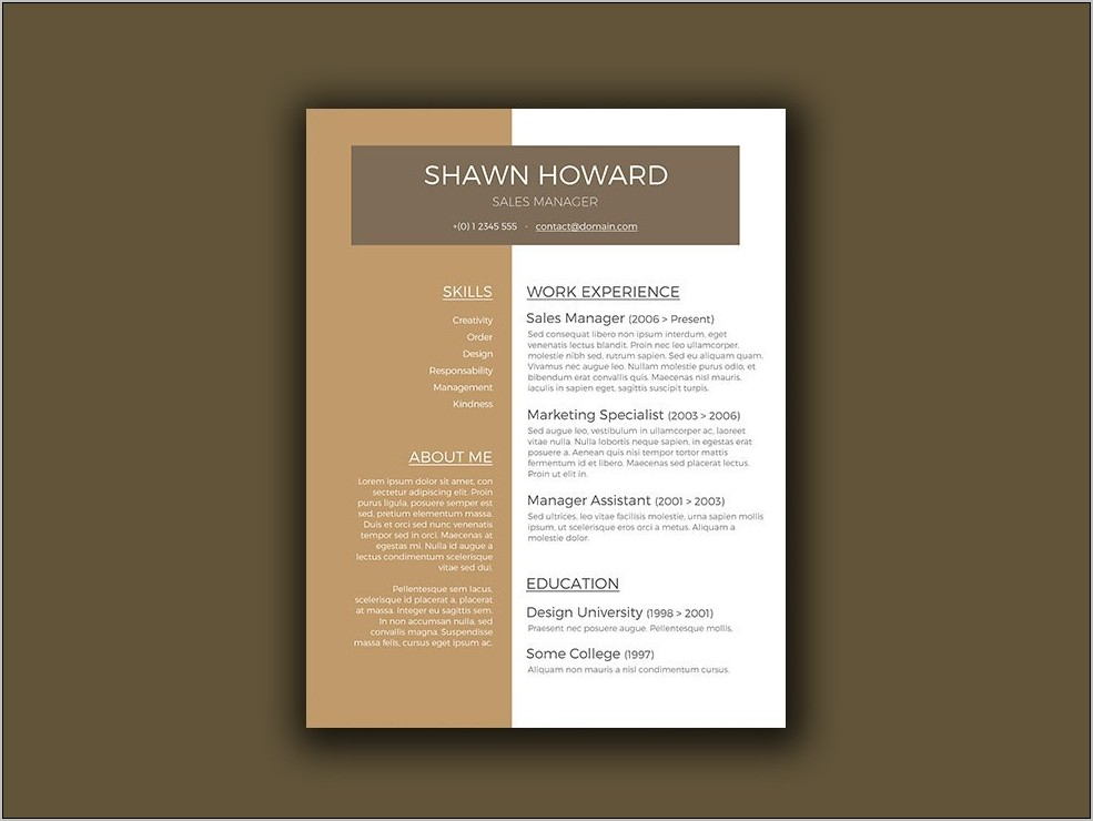 Resume Template For Sales Manager